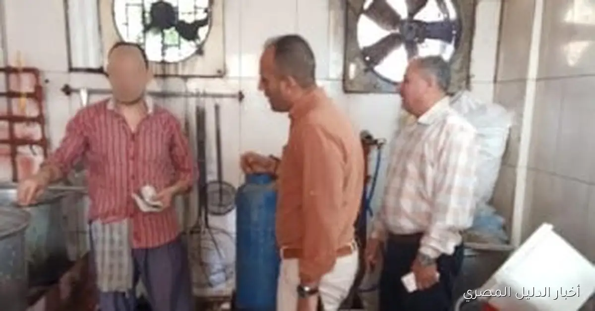 حملة لمراقبة الأغذية في الإسماعيلية تسفر عن تحرير 89 محضر مخالفة