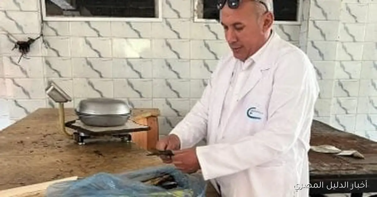 حملة مكثفة للطب البيطري في الغربية تسفر عن ضبط 13 طنًا من اللحوم والأسماك غير الصالحة للاستهلاك الآدمي