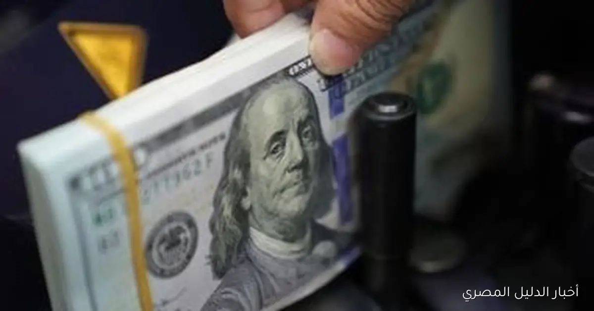 سعر الدولار في البنك المركزي اليوم، الجمعة 24 أكتوبر 2025: 47.52 جنيه للشراء