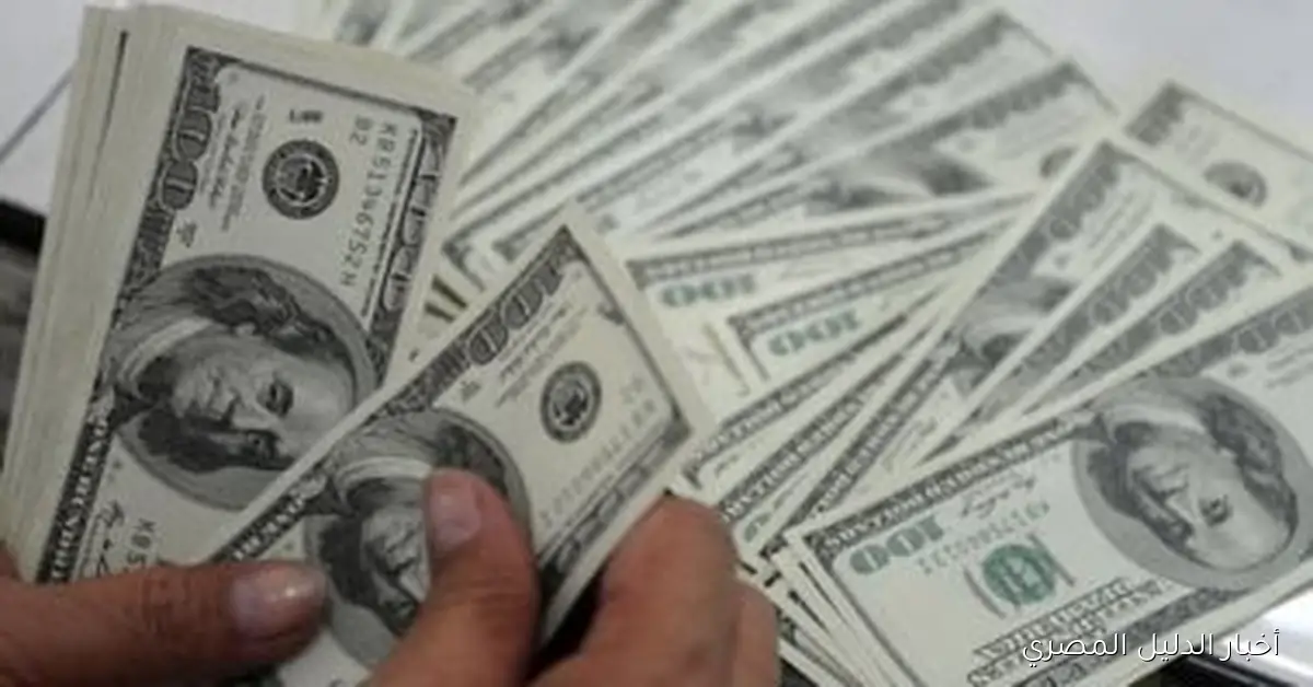 سعر الدولار مقابل الجنيه المصري في البنك المركزي: 47.52 جنيه، الجمعة 24 أكتوبر 2025