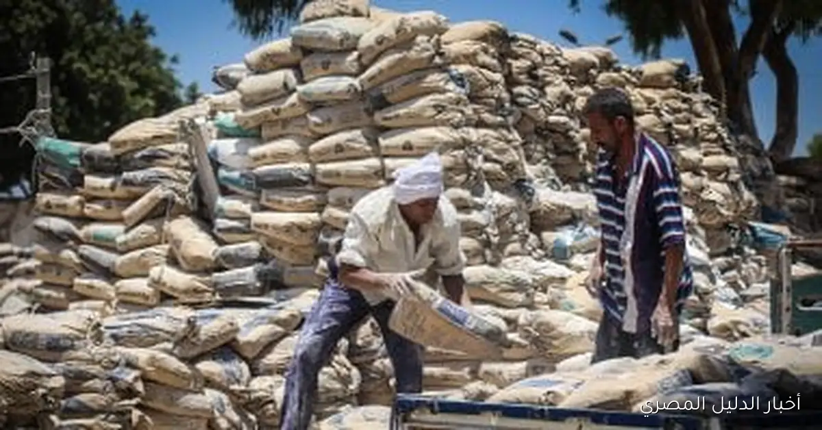 سعر طن الأسمنت اليوم، الإثنين 20 أكتوبر 2025: تحديثات السوق الحالية