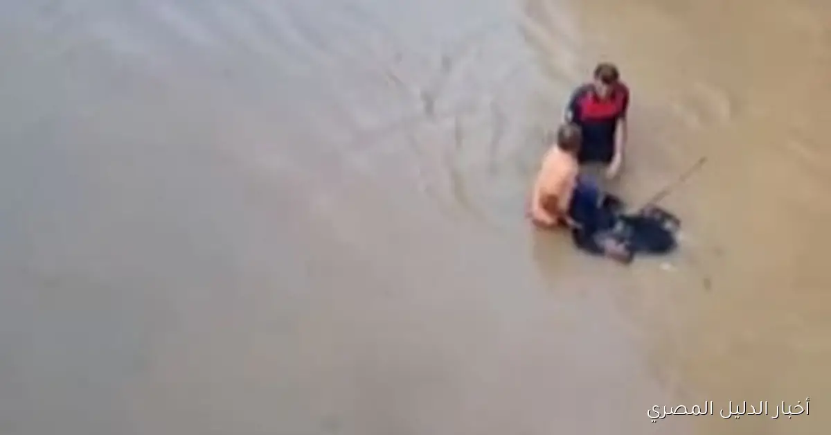 سيول تركيا تقتلع امرأة من ذوي الهمم وإنقاذها على يد الأهالي – فيديو