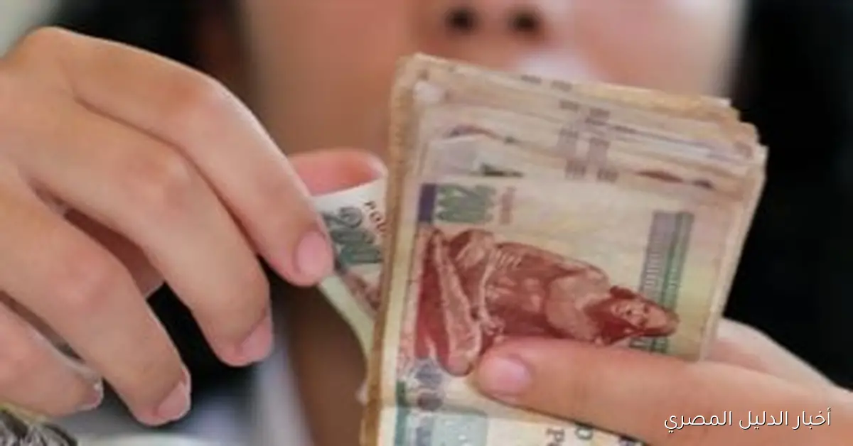 شركات البورصة تحقق أرباحًا قياسية: 70 مليار جنيه مكاسب للمساهمين في 10 أشهر