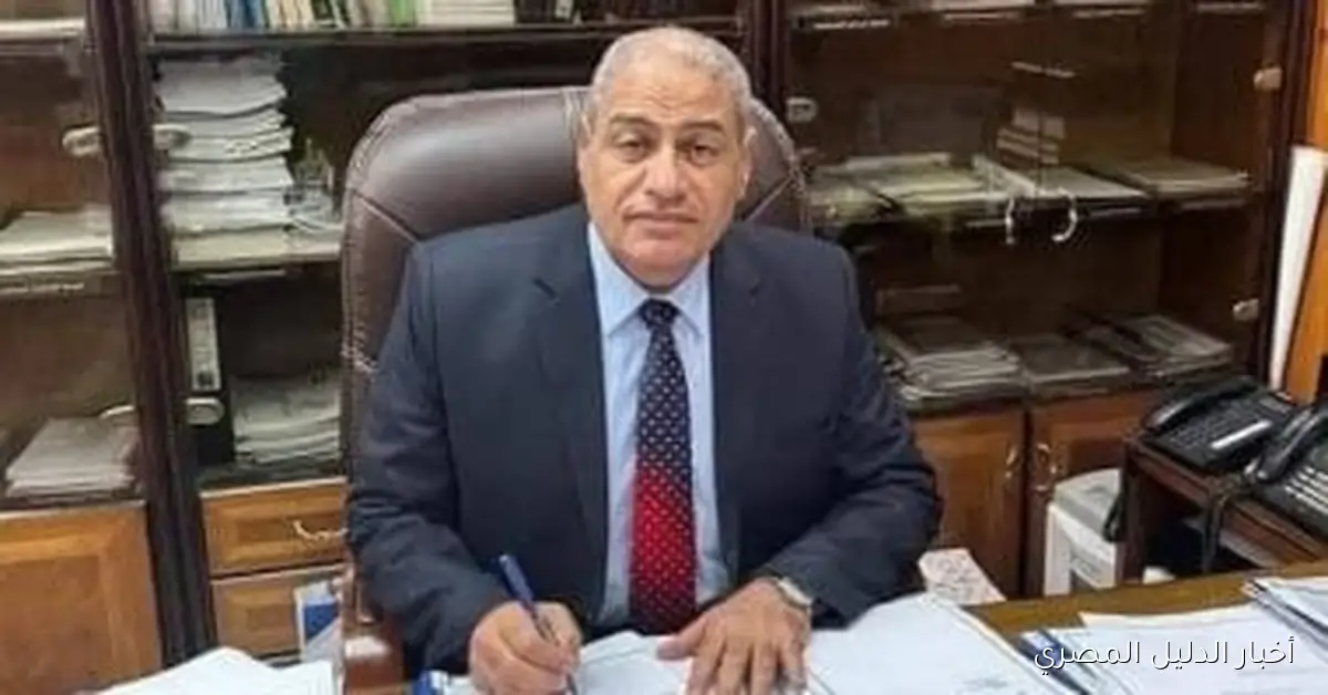 شركة كهرباء شمال القاهرة تستعيد 3 ملايين جنيه من الموظف المتورط في الاختلاس