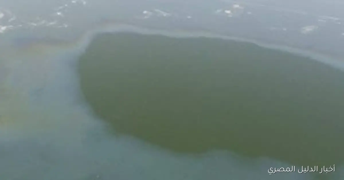 شركة مياه الأقصر تعلن خطتها لمواجهة التلوث البترولي حتى زوال الملوثات – صور