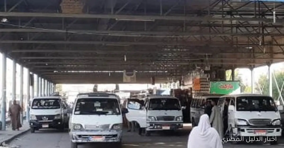 <p><strong>ضبط 14 مخالفة لتعريفة السيرفيس في أسوان.. والمحافظ يؤكد: لا تساهل مع المخالفين</strong></p>