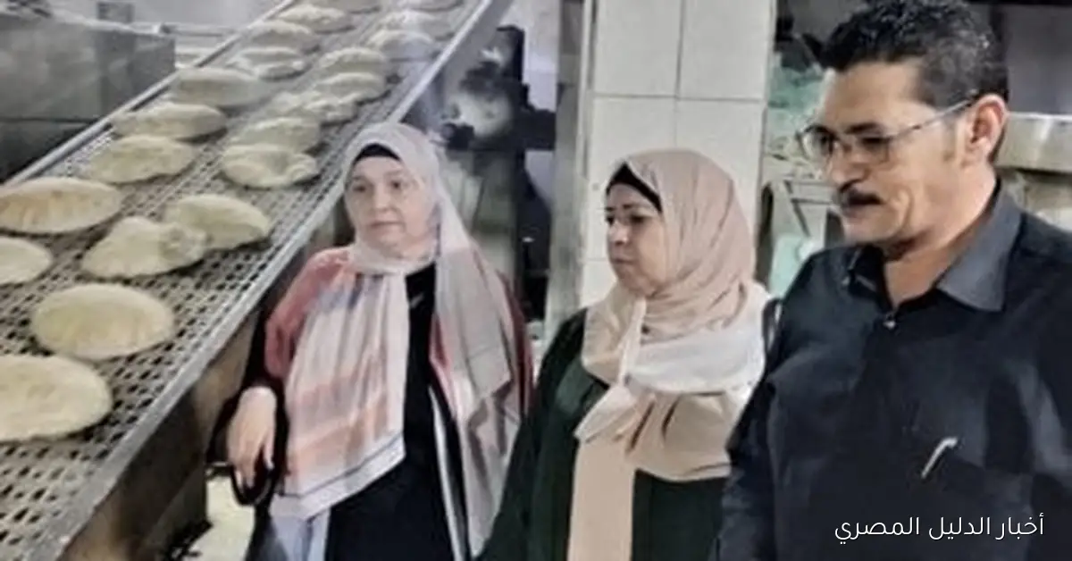 <p><strong>ضبط 1.5 طن من الدقيق و30 محضراً قبل بيعها في السوق السوداء بدسوق</strong></p>