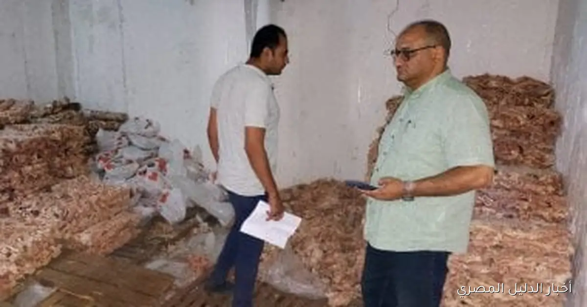 ضبط 5 أطنان من هياكل الدواجن واللحوم المفرومة غير الصالحة للاستهلاك في دسوق