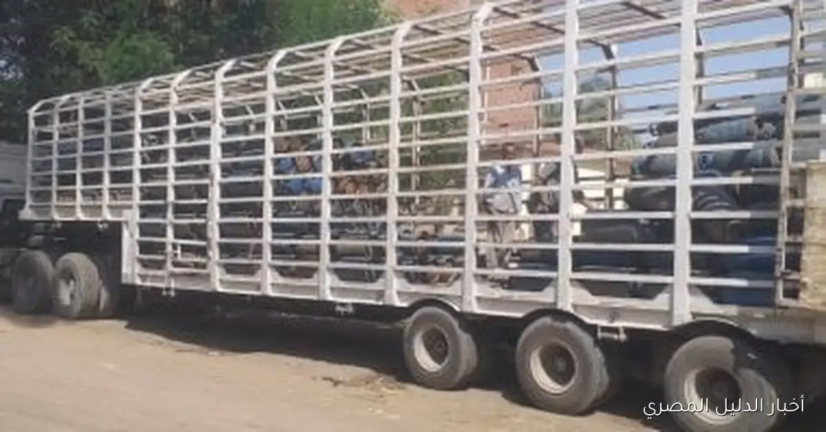 ضبط سيارة تروّج لأسطوانات الغاز بسعر مخالف في طهطا بسوهاج