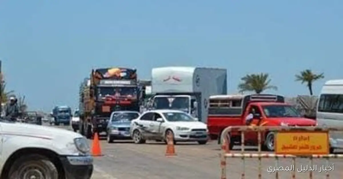 <p><strong>ضبط مواد مخدرة وأسلحة بحوزة متهمين في كفر الشيخ وتحرير 1280 مخالفة مرورية</strong></p>