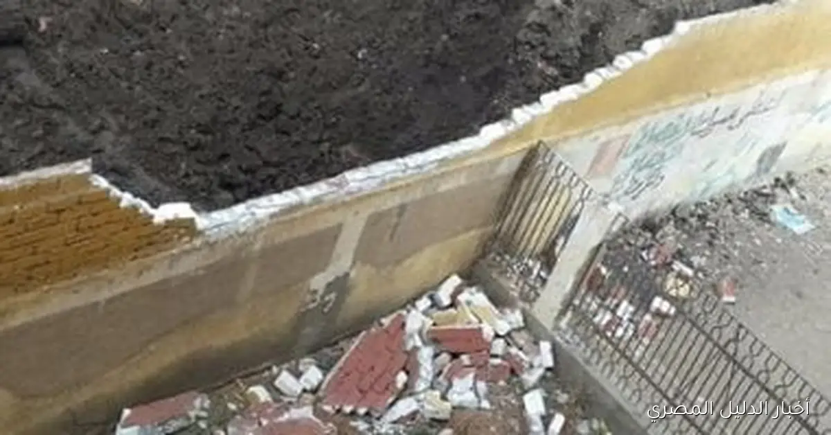 طالبتان تسقطان من أعلى سلم مدرسة في أجا بالدقهلية