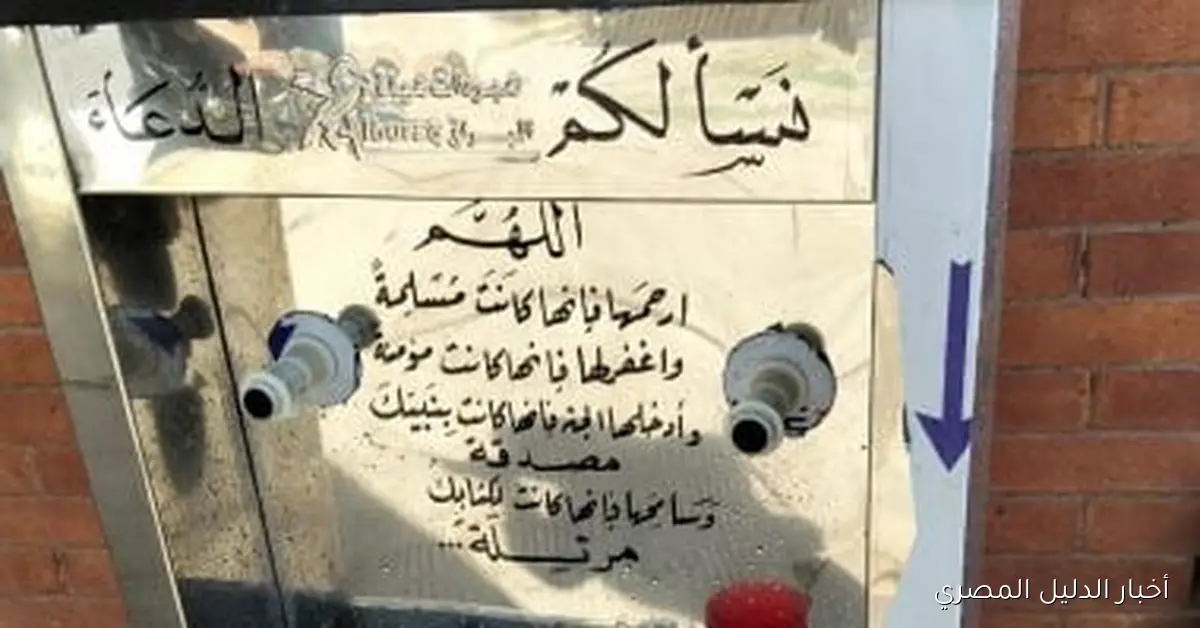 طلاب قنا يكرّمون زميلتهم الراحلة بتوفير كولدير مياه في الجامعة كرمز للوفاء