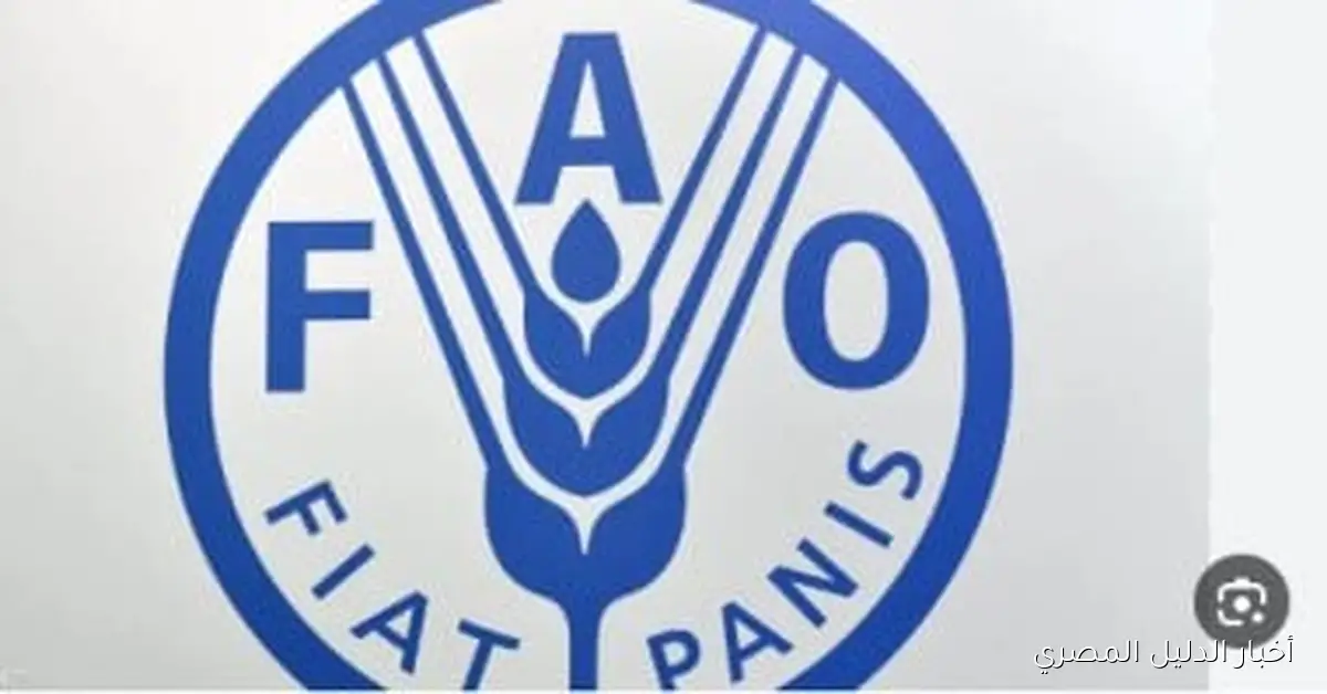 فرصة تدريبية في منظمة الفاو براتب شهري 33 ألف جنيه – شاهد التفاصيل في الفيديو