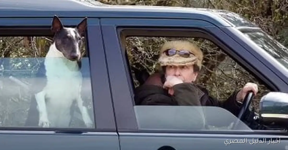 في ظل أزمة أندرو: الكشف عن آخر عضو في العائلة المالكة يُدان جنائياً بسبب كلب