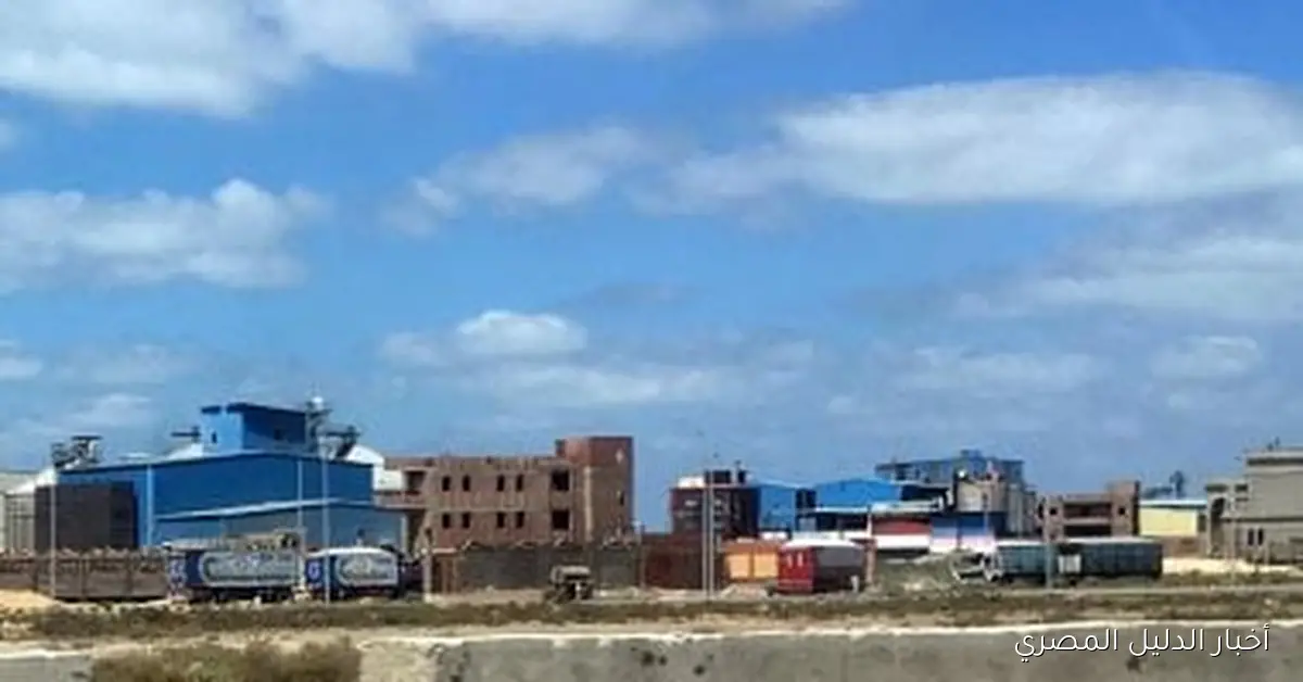 كفر الشيخ: أجواء مشمسة وحارة يوم الأحد 19 أكتوبر 2025