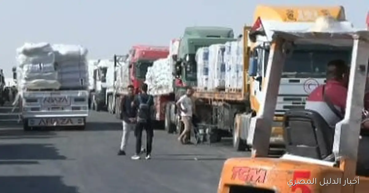 مئات الشاحنات تتجمع أمام معبر رفح استعدادًا لإدخال المساعدات الإنسانية إلى غزة