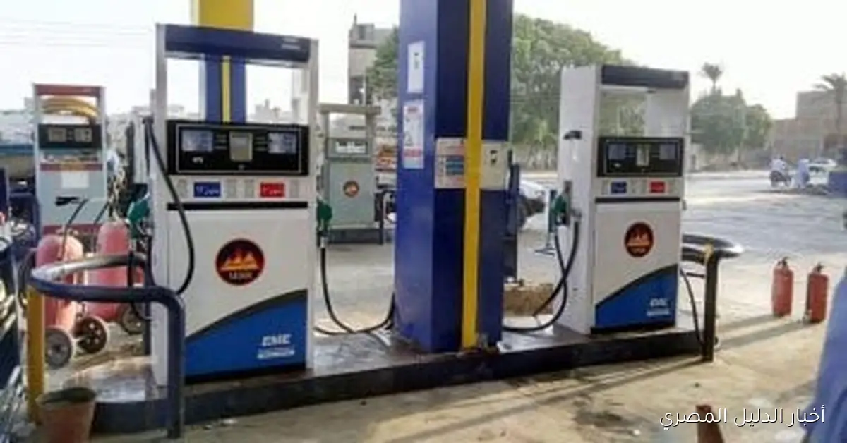 محافظ الدقهلية: ضبط 311 محضرًا خلال حملات تفتيشية على محطات الوقود ومستودعات البوتاجاز