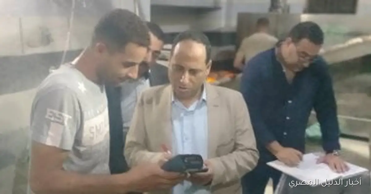 محافظ الدقهلية يعلن عن ضبط 475 شيكارة من الدقيق البلدي قبل تهريبها إلى السوق السوداء