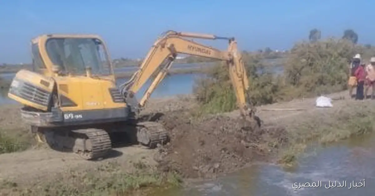 محافظ بورسعيد يعلن عن إزالة أكثر من 40 فدانا من المزارع السمكية المخالفة على الأراضي الزراعية