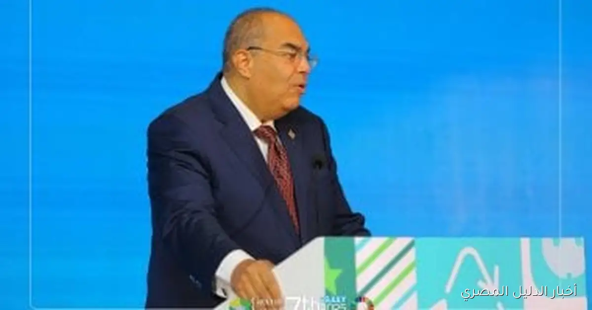 محيي الدين: ضرورة تعزيز التمويل المشترك لدعم التحول إلى الطاقة النظيفة في أفريقيا