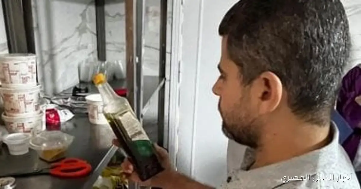 مديرية صحة الإسماعيلية تتابع استعدادات مقار إقامة الوفود المشاركة في مهرجان الفنون الشعبية