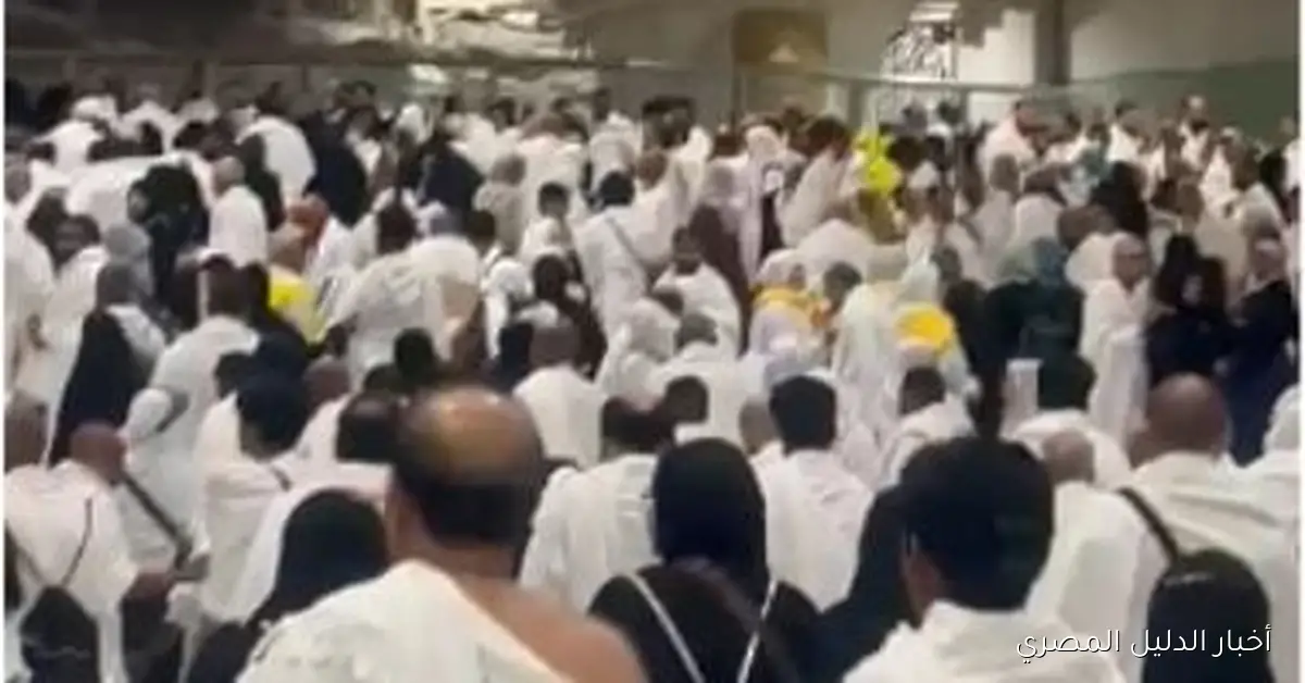 مشاهد مهيبة من السعي بين الصفا والمروة تُعيد إلى الأذهان أجواء ليالي رمضان: فيديو وصور