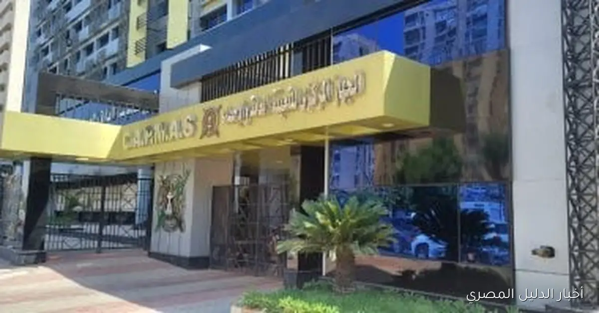 مصر تحقق صادرات بقيمة 8.7 مليار دولار إلى دول الاتحاد الأوروبي خلال 8 أشهر من عام 2025: تحليل بياني