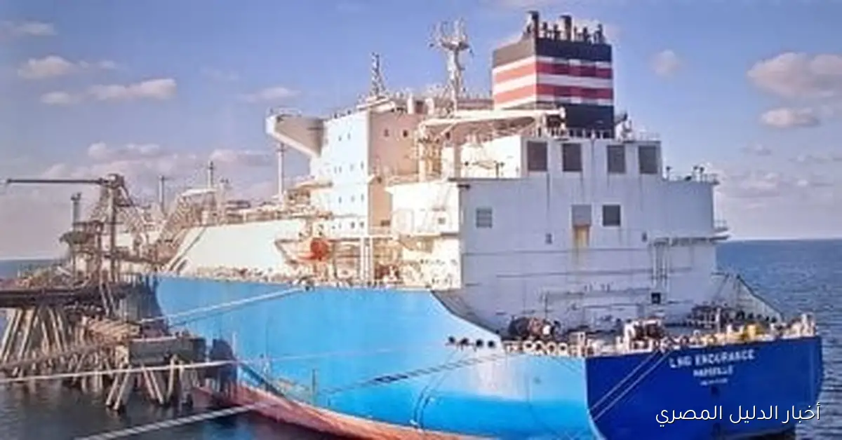مصر تصدر 150 ألف متر مكعب من الغاز المسال إلى تركيا لصالح شركة توتال إنيرجيز