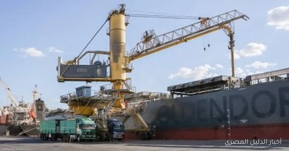 ميناء دمياط يستقبل 28 سفينة متنوعة اليوم
