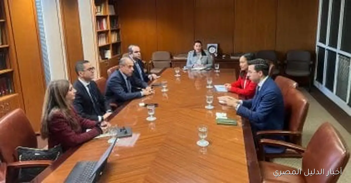 وزير الاستثمار يناقش مع شركة بوينج تعزيز الشراكة الاستراتيجية في قطاع الطيران والنقل الجوي