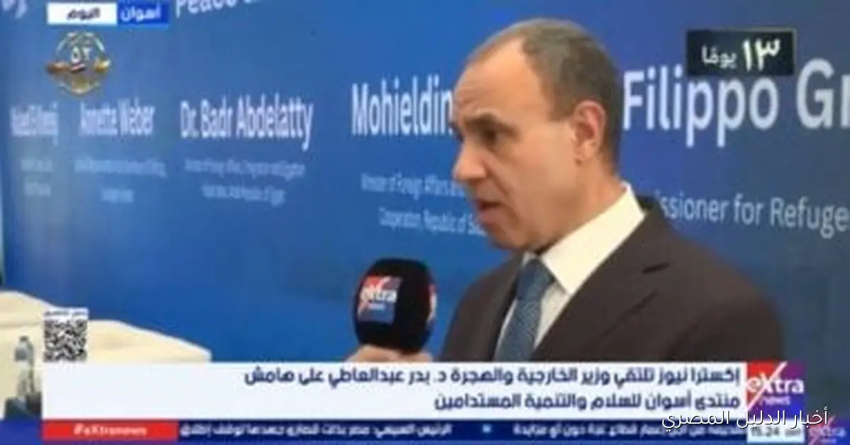 وزير الخارجية يستعرض وثيقة استخلاصات أسوان التي تحدد مسارات التعاون المشترك في أفريقيا