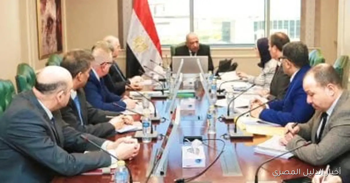 وزير الكهرباء ومدير عام جهاز الخدمة الوطنية يناقشان آليات تنفيذ مشروعات الطاقة الكهربائية