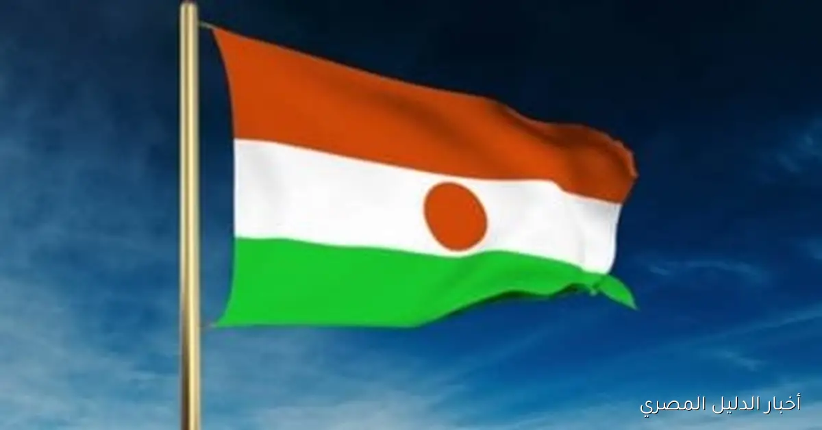 وزير خارجية النيجر: نعتز بالدور الريادي لمصر في القارة الإفريقية