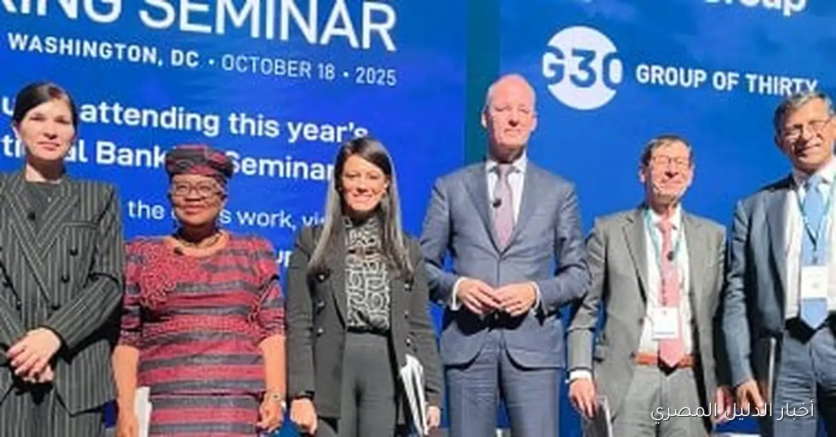 وزيرة التخطيط تستعرض هيكلة النظام المالي العالمي في جلسة نقاشية لمجموعة الثلاثين