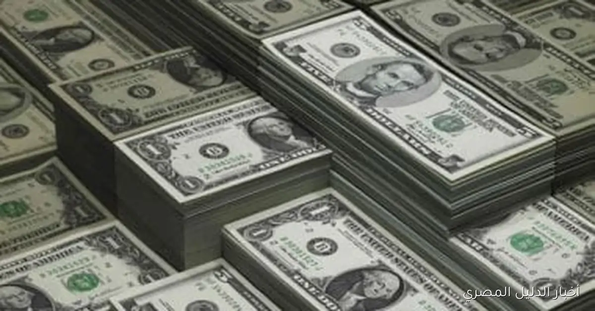 استقرار سعر صرف الدولار مقابل الجنيه في تعاملات الأحد