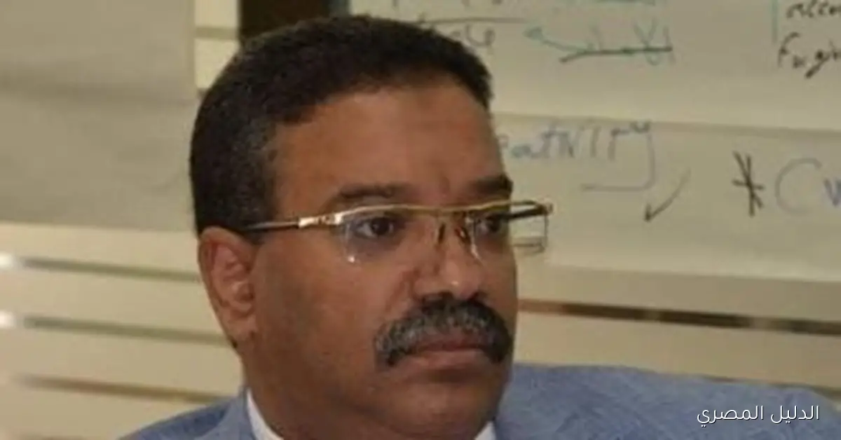 خبير تأمين يدعو لإنشاء هيئة مستقلة لتعزيز الشفافية وتقليل تضارب المصالح في القطاع