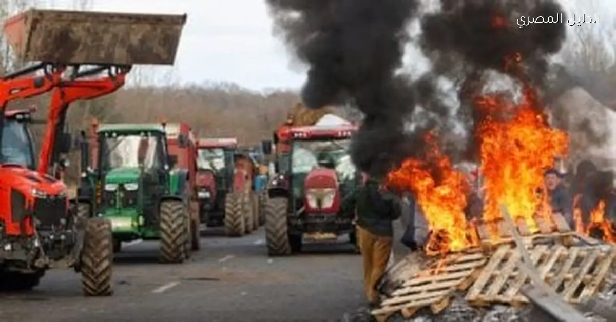 مزارعو فرنسا يحتجون بالجرارات ضد ذبح الأبقار المريضة