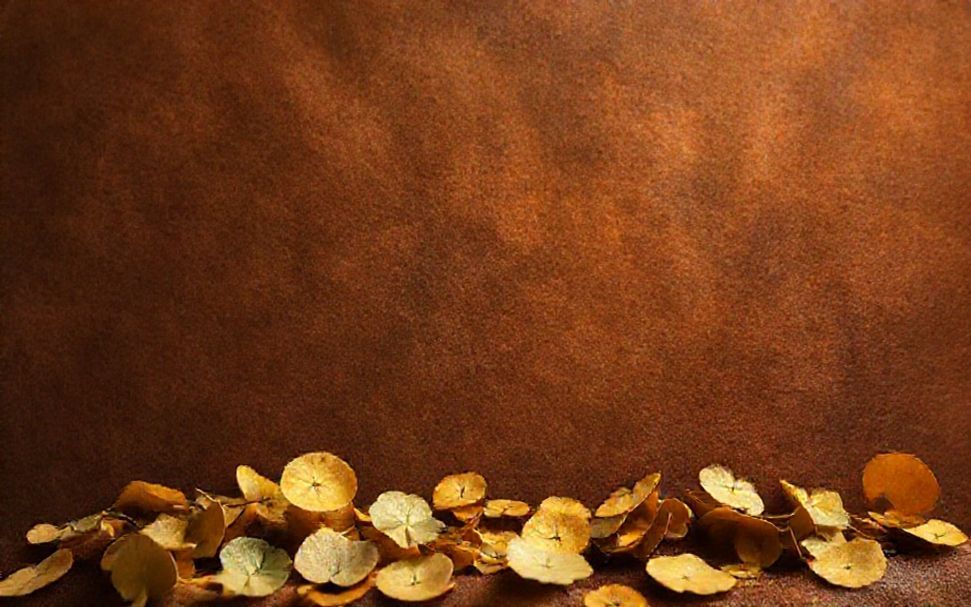 كيفية استخدام حظك اليوم لزيادة فرصك في النجاح