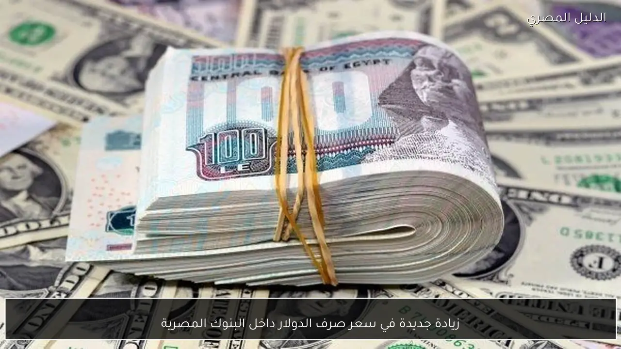 زيادة جديدة في سعر صرف الدولار داخل البنوك المصرية
