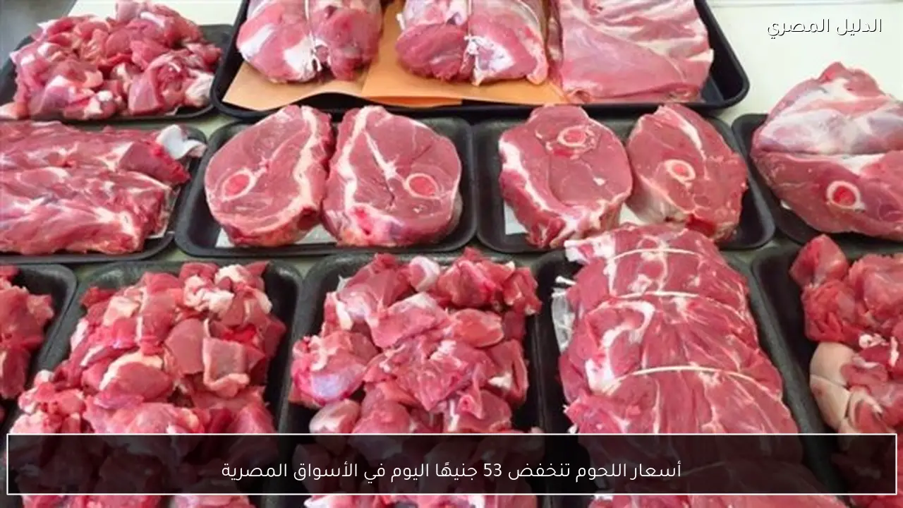 أسعار اللحوم تنخفض 53 جنيهًا اليوم في الأسواق المصرية