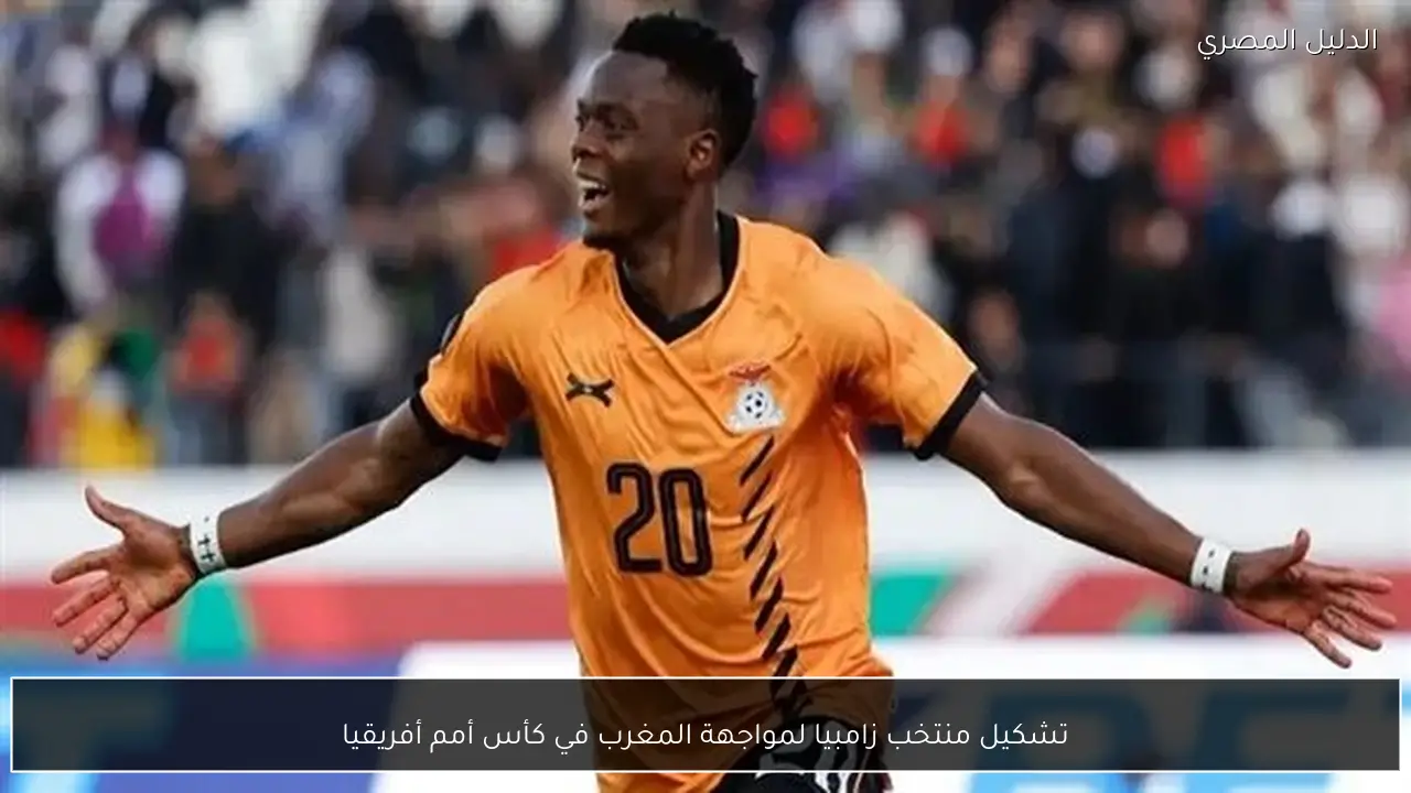 تشكيل منتخب زامبيا لمواجهة المغرب في كأس أمم أفريقيا