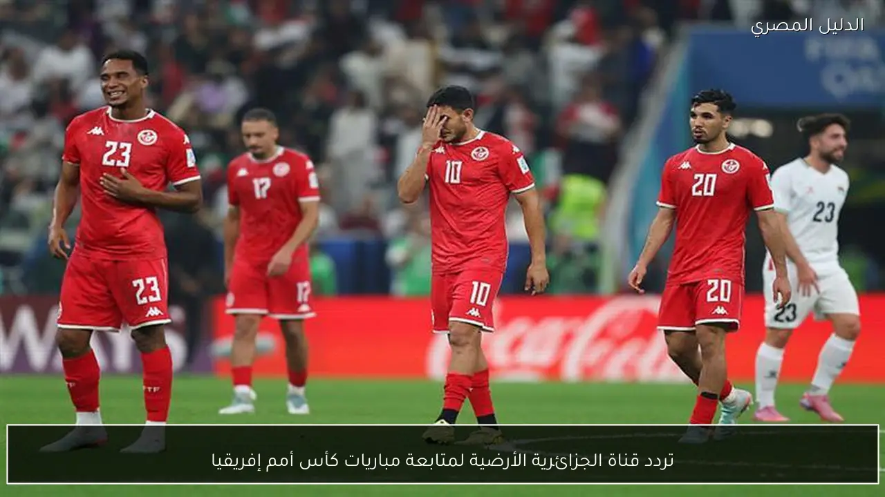 تردد قناة الجزائرية الأرضية لمتابعة مباريات كأس أمم إفريقيا