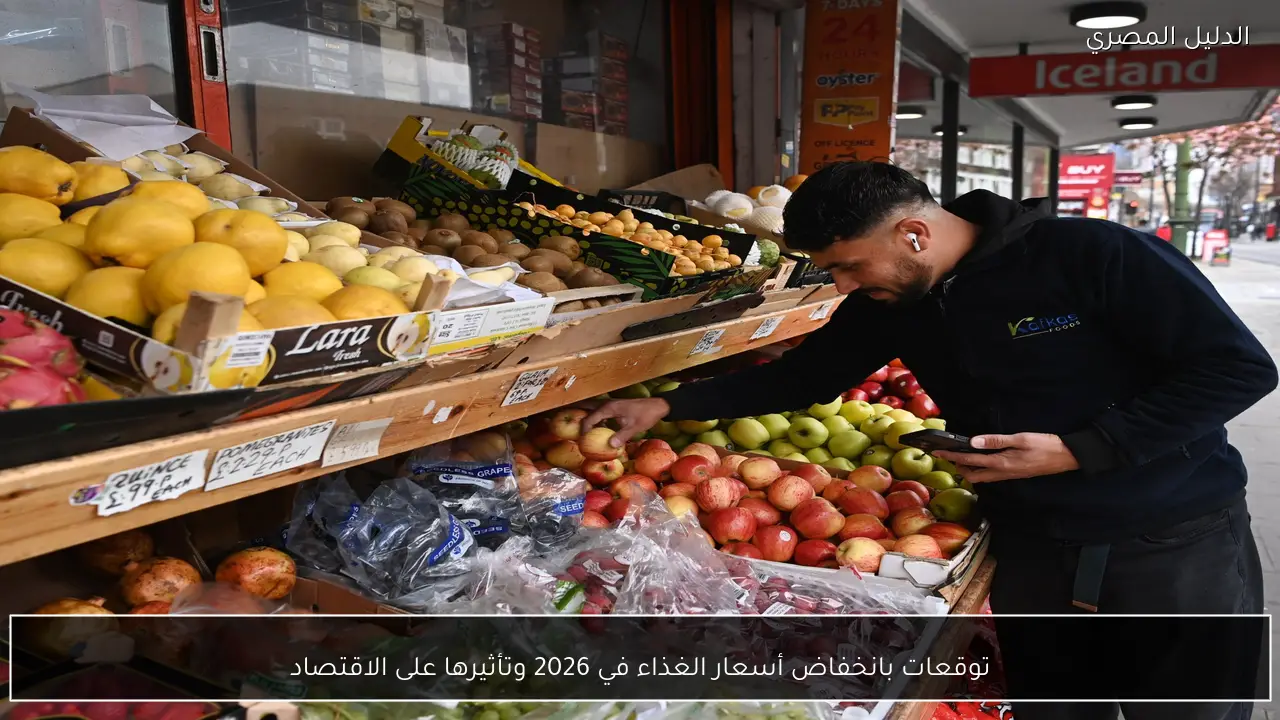 توقعات بانخفاض أسعار الغذاء في 2026 وتأثيرها على الاقتصاد