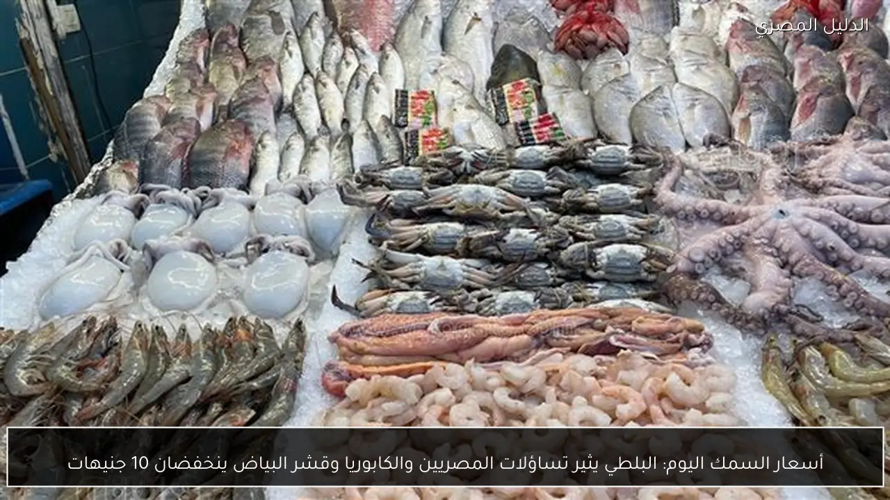 أسعار السمك اليوم: البلطي يثير تساؤلات المصريين والكابوريا وقشر البياض ينخفضان 10 جنيهات