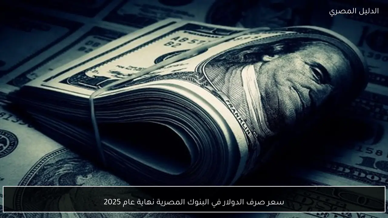سعر صرف الدولار في البنوك المصرية نهاية عام 2025