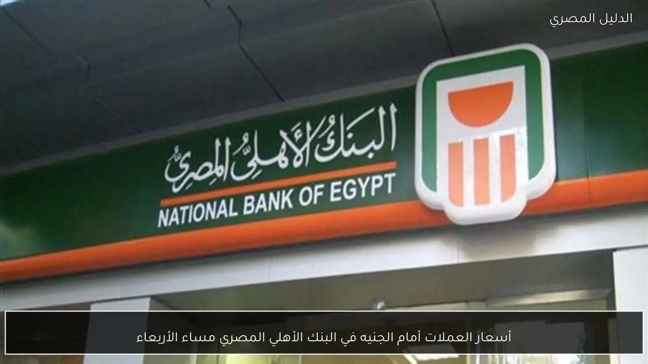 أسعار العملات أمام الجنيه في البنك الأهلي المصري مساء الأربعاء