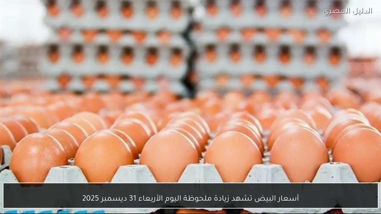 أسعار البيض تشهد زيادة ملحوظة اليوم الأربعاء 31 ديسمبر 2025