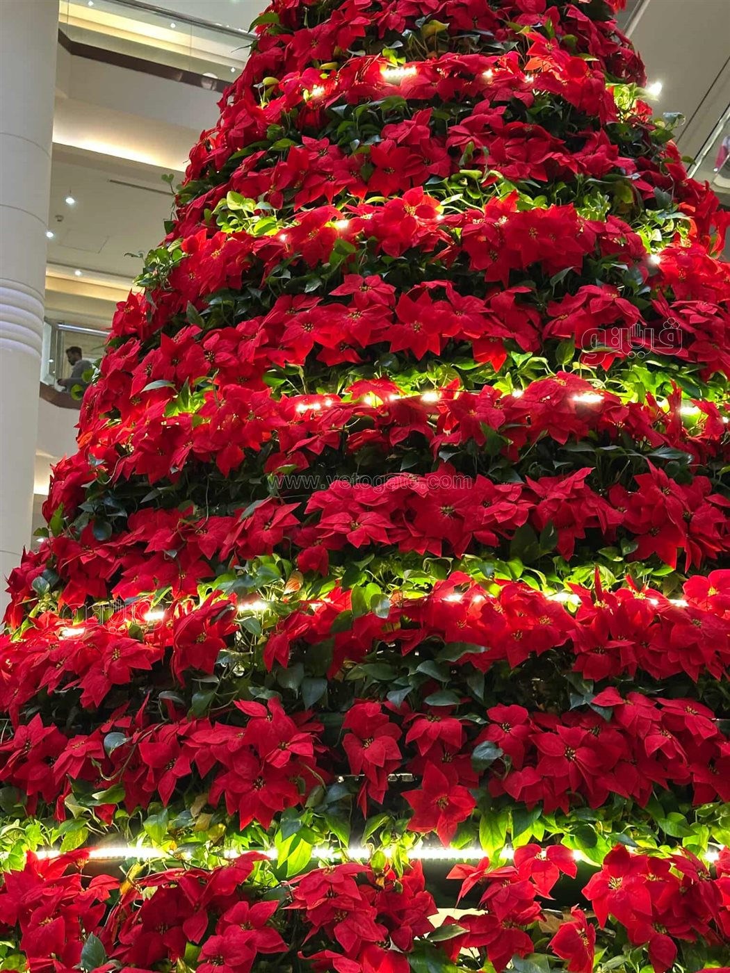 احتفالات رأس السنة