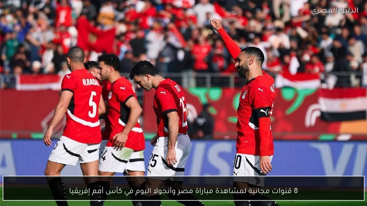 8 قنوات مجانية لمشاهدة مباراة مصر وأنجولا اليوم في كأس أمم إفريقيا