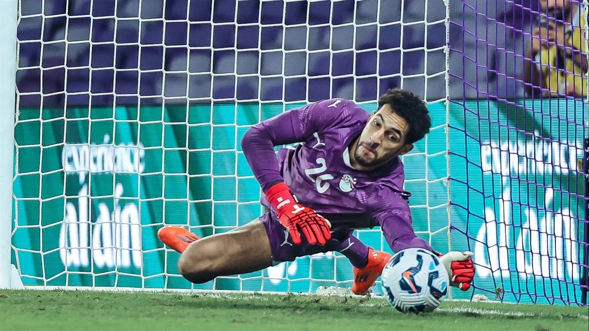 مصطفى شوبير، الدليل المصري